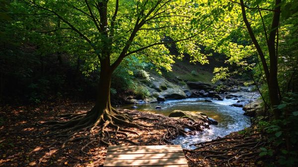 5 raisons d'opter pour Photo Ecologie et minimiser votre empreinte écologique